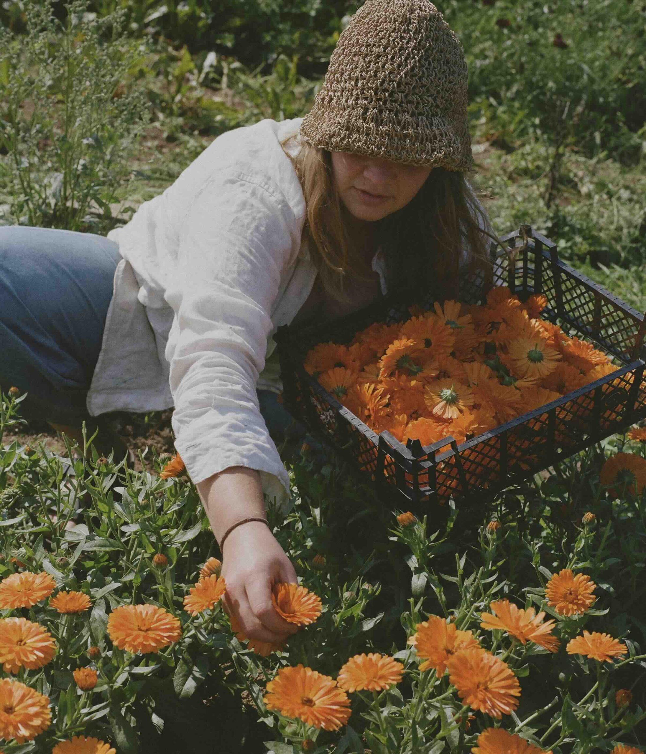 Ffion-Taverner-Natural-Dye-Wales