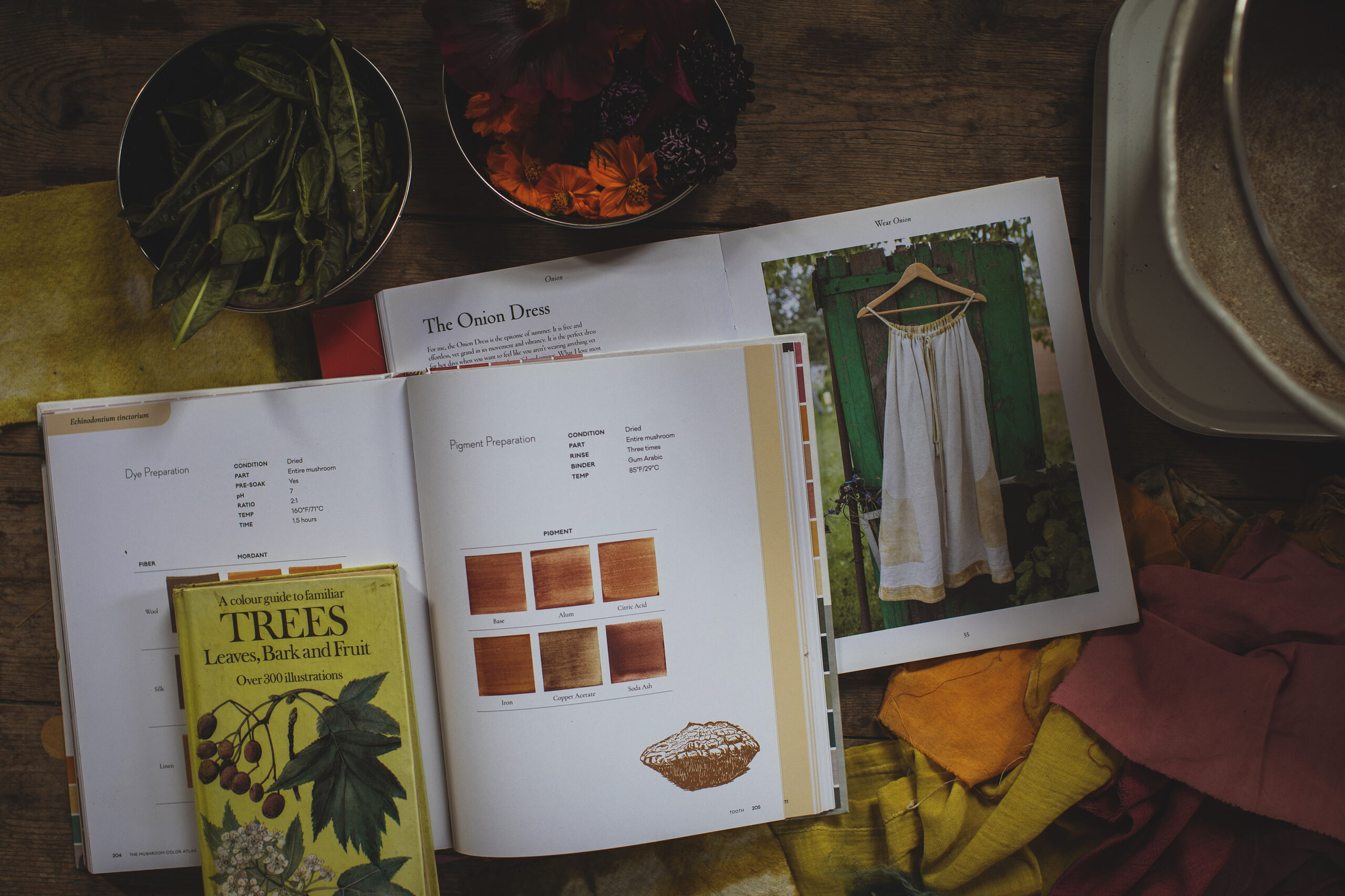 Thimble-Studios-Natural-Dye-Books