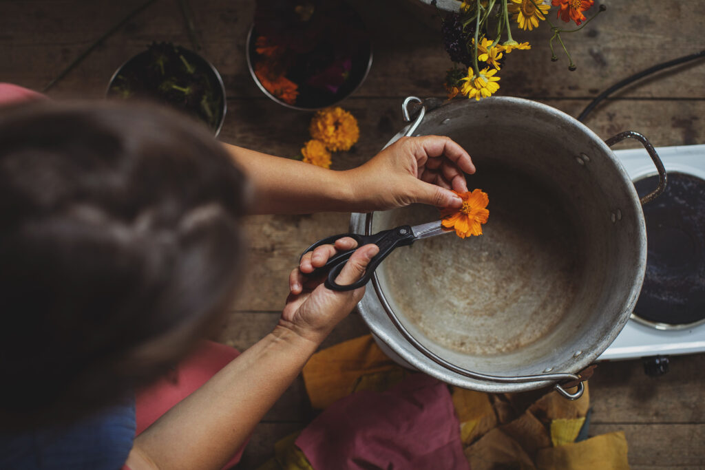 Preparing flowers for a natural dye workshop